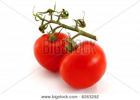Tomato