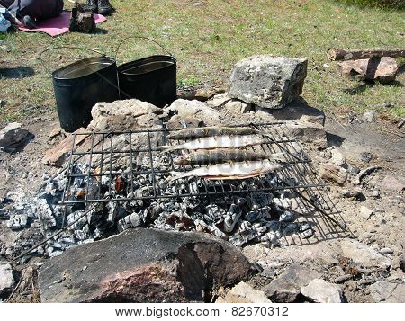 Fried fish on a fire at Lake Baikal