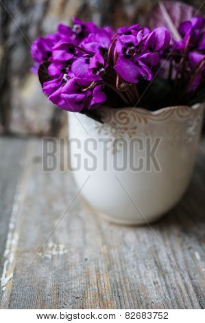 Spring Time