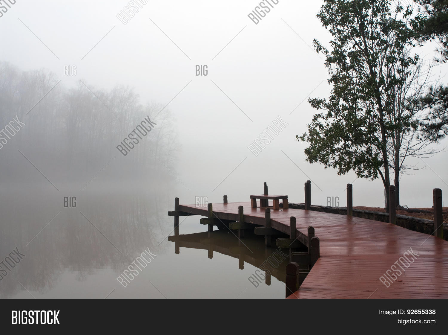 Thick Blanket Fog Image & Photo (Free Trial) Bigstock