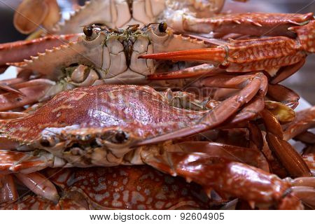 Boiled Crabs, Ready to cook for Thai Crab Curry