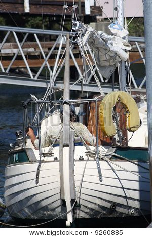 Salty Dog
