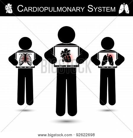 Cardiopulmonary System