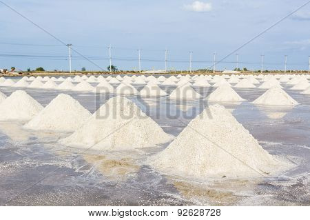 Farmers Are Harvesting Salt In The Salt Fields.