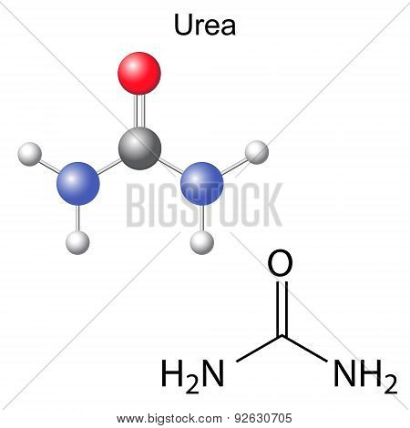 Chemical Formula And Model Of Urea Molecule