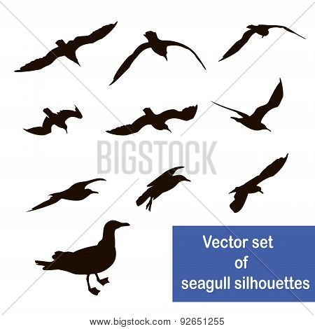 Set Of Seagull Silhouettes