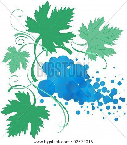 Stylized Vine Branch With Leaves, Vector Illustration