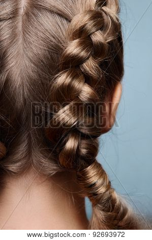 Beauty Model With Pigtails From Back