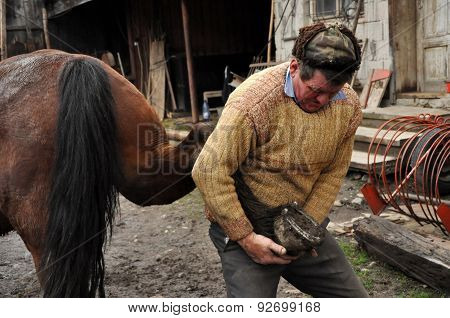 Blacksmith Shoeing A Horse