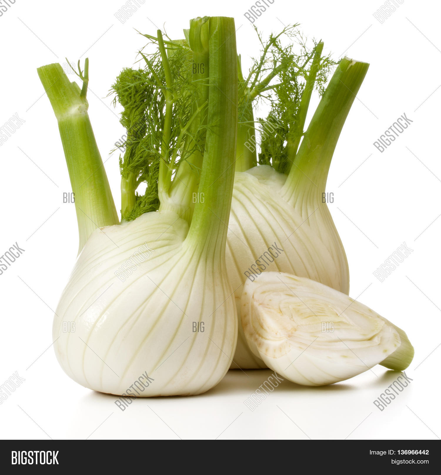 Fresh Fennel Bulb Image & Photo (Free Trial) Bigstock