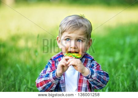Cheerful kid eating candy in the park in the summer. Little boy in the summer park licking a lollipop.