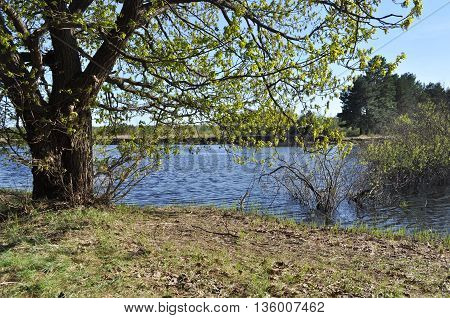 River landscape. Spring in the national Park 