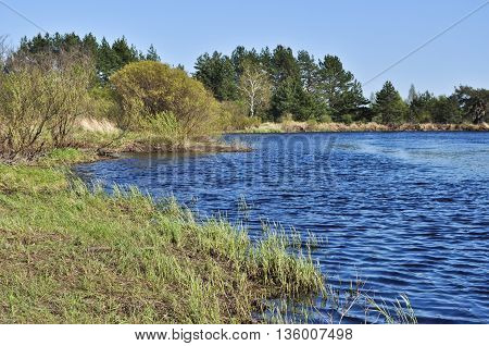 River landscape. Spring in the national Park 