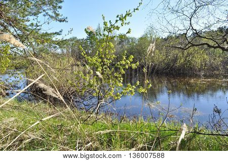 River landscape. Spring in the national Park 