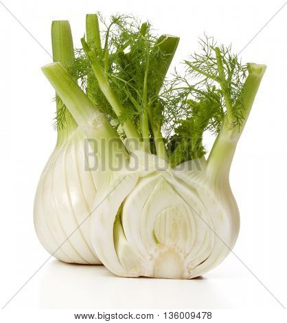Fresh fennel bulb isolated on white background close up
