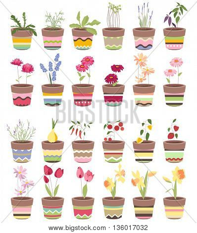  Spring flowers and summer vegetables in pots. Objects for your design, advertisement, posters.