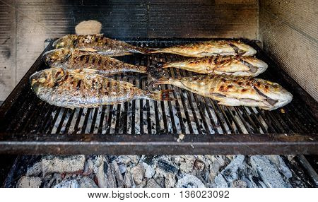 Preparing Fish On The Charcoal Grill