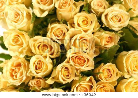 Rosas
