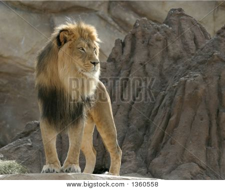 Aslan
