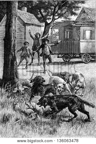 Dogs fighting. From Jules Verne Cesar Cascabel, vintage engraving, 1890.