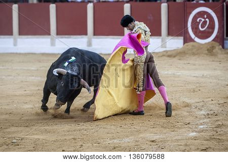 Ubeda Spain - October 1 2011: The Spanish Bullfighter El Cid bullfighting with the crutch in the Bullring of Ubeda Spain