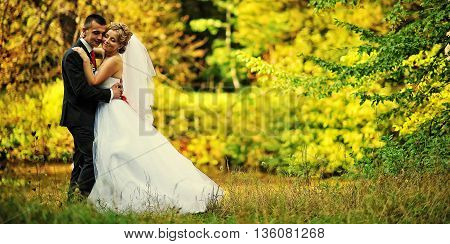 Young And Gorgeus Wedding Couple On Autumn Forest