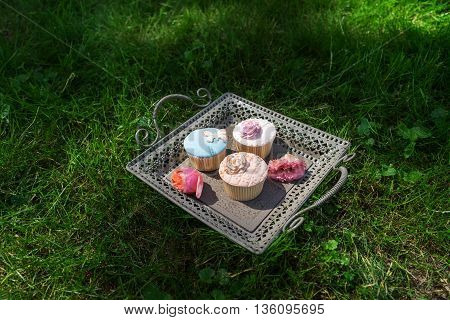 Tray of cupcakes sun standing on the lawn