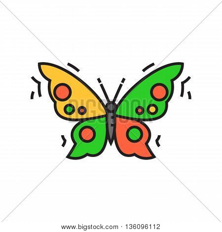 Butterfly. Insect, flying, kell. Animal concept. Can be used for topics like animal, biology, beauty