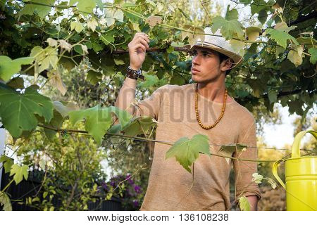 Side view of handsome young man in hat toching vine leaves in garden in sunlight