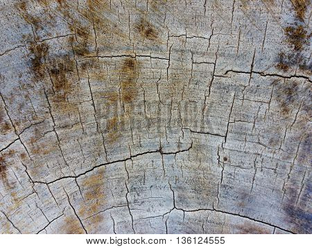 Beautiful wood grain background is from found difficult wood.