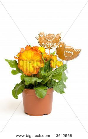 Påske blomst med honningkager fugle