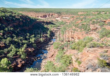 Sandstone rock and native flora line the Murchison River Gorge in the Z-bend native bushland landscape under a clear blue sky in Kalbarri National Park in Western Australia.