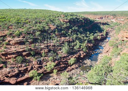 Murchison River Gorge surrounded by vegetated sandstone bluffs in the scenic Z-bend landscape under a clear blue sky in Kalbarri National Park in Western Australia.