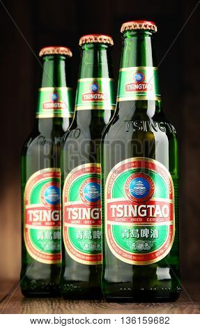 Tree Bottles Of Tsingtao Beer