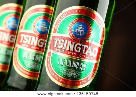 Tree Bottles Of Tsingtao Beer