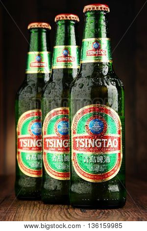 Tree Bottles Of Tsingtao Beer