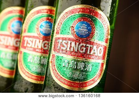 POZNAN POLAND - JUNE 22 2016: Tsingtao beer product of Tsingtao Brewery China's second largest brewery located in Qingdao in Shandong province