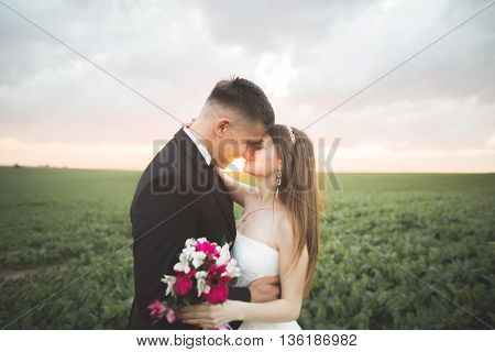 Beautiful wedding couple, love on the sunset. Fielf with flowers.