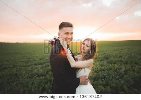 Beautiful wedding couple, love on the sunset. Fielf with flowers.