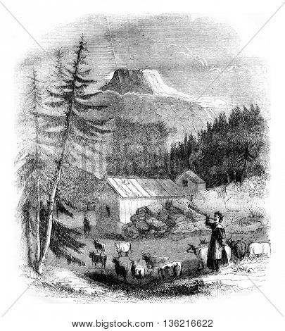 View of the mountain Gousta in Westford dalen valley in Norway, vintage engraved illustration. Magasin Pittoresque 1836.