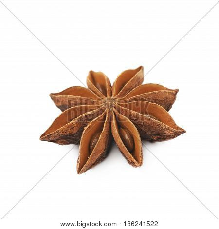 Single Chinese star anise seed isolated over the white background
