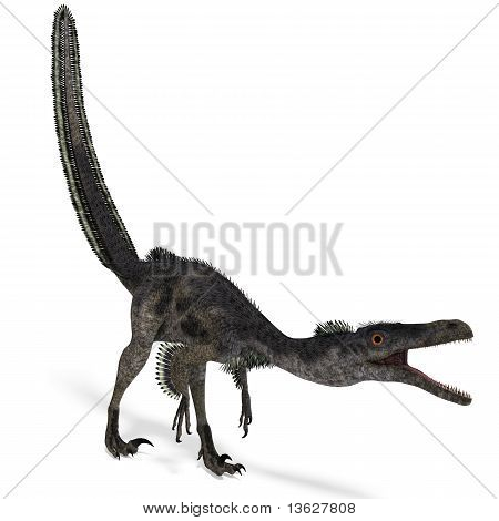 Dinossauro Velociraptor