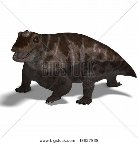 Keratocephalus de dinossauro