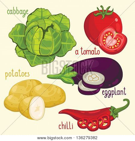 Set of vegetables mix. Vector cabbage, tomato, potatoes and other vegetables. Natural organic. Ingredients for vegetables salad. Isolated cabbage, tomato, potatoes and other vegetables.