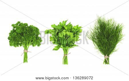 collection of bunches of greens isolated on a white background
