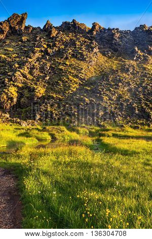 The geothermal wellspring smokes among  grass. Summer trip to Iceland. The green lawn in the Valley National Park Landmannalaugar