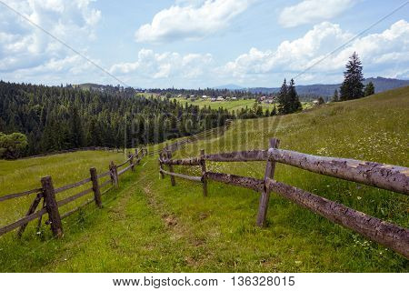 Ukrainian Landscape