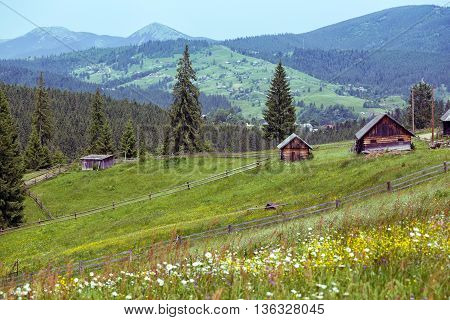 Ukrainian Landscape