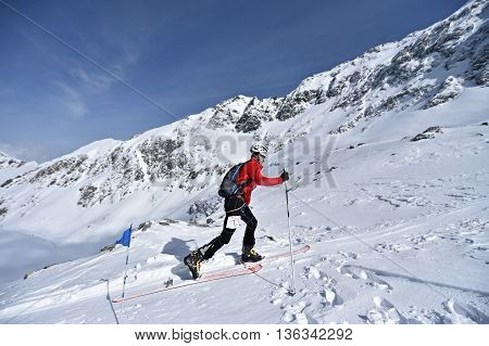 FAGARAS ROMANIA - MARCH 5: Ski mountaineer competes during the Ski Mountaineering National Competition in Fagaras Mountains Carpathian Range on March 5 2016 in Romania.