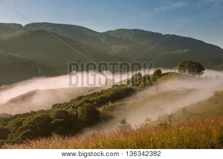 Misty morning in the Apuseni Mountains near Salciua, Romania